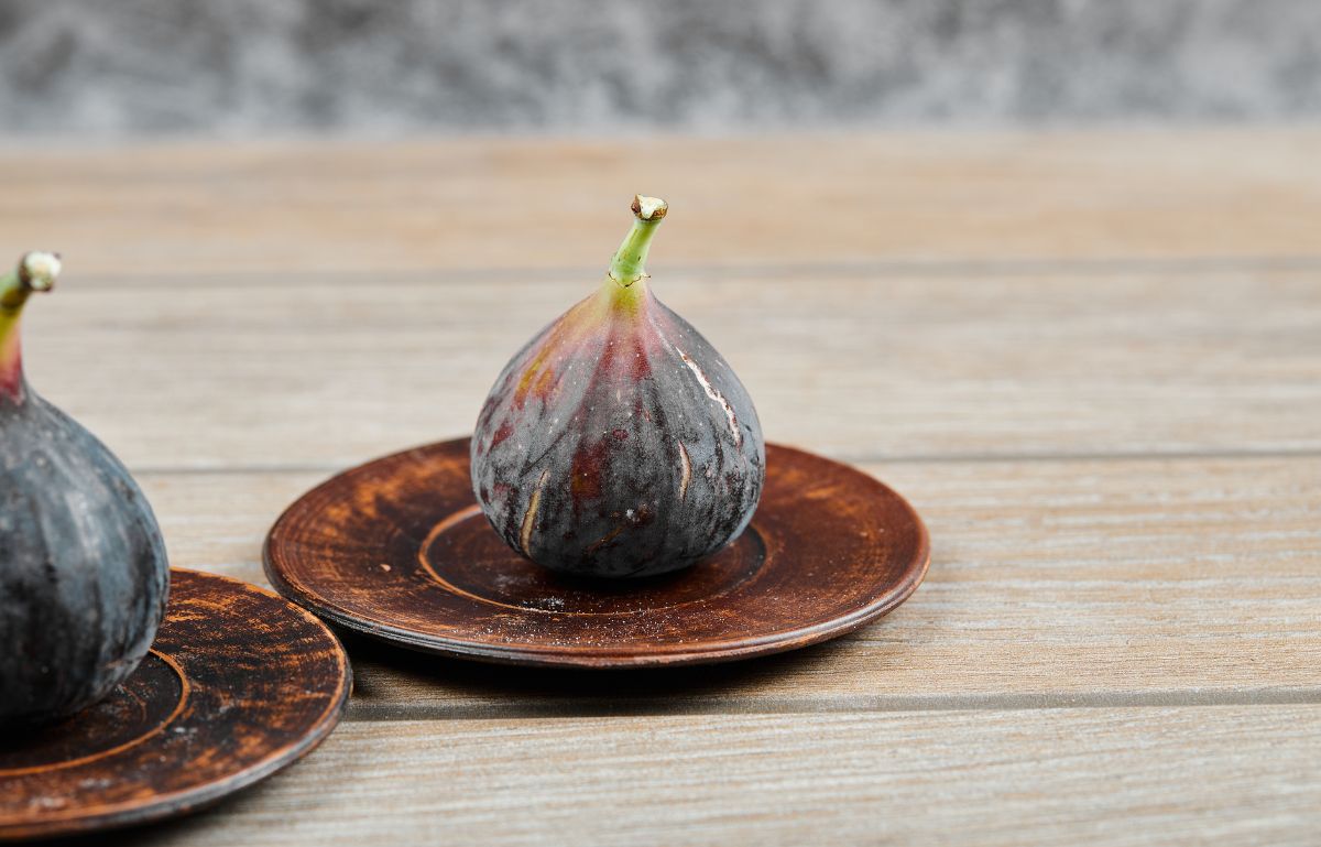 Parable of the Fig Tree