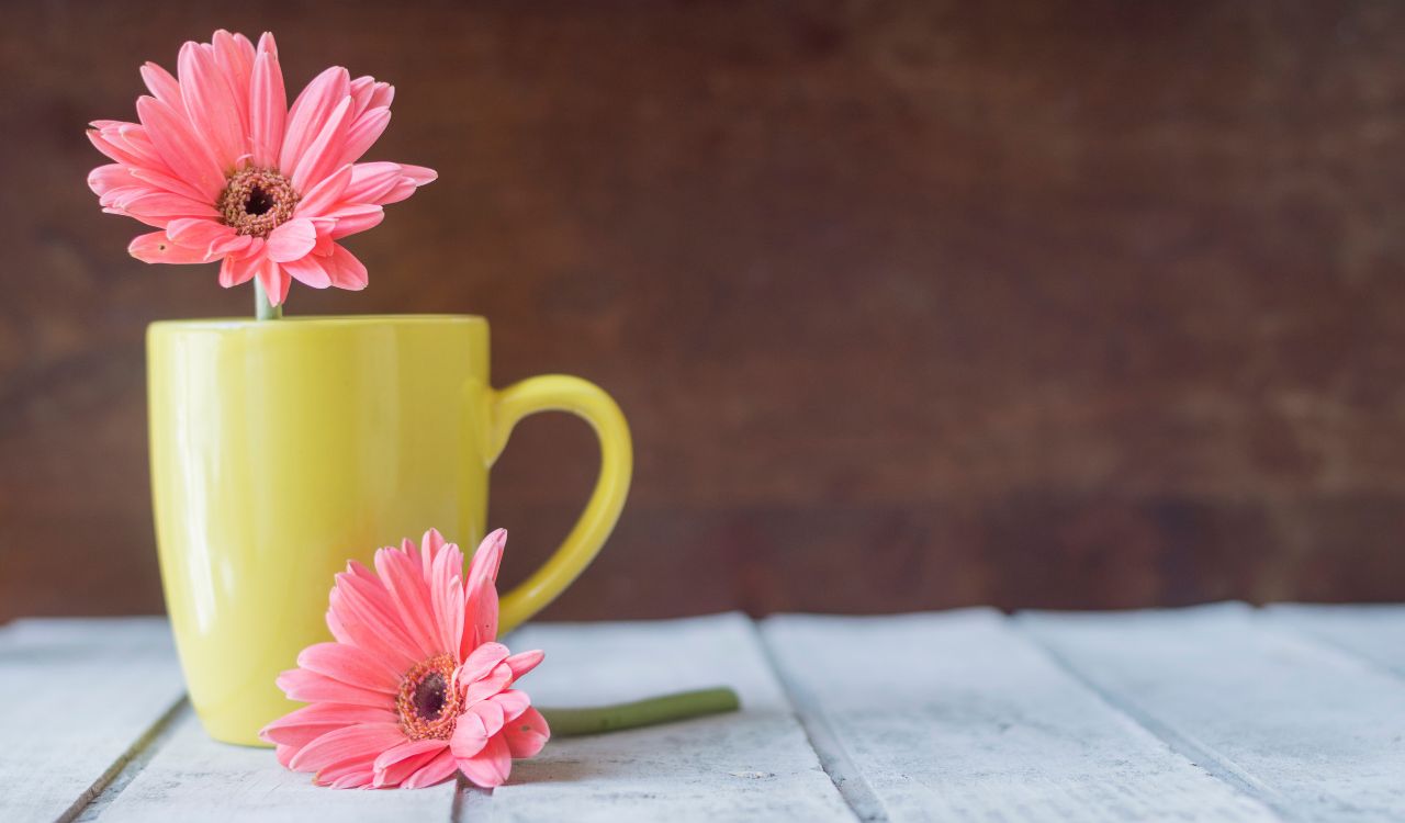 Good Morning Blessings Image for a Fresh Day