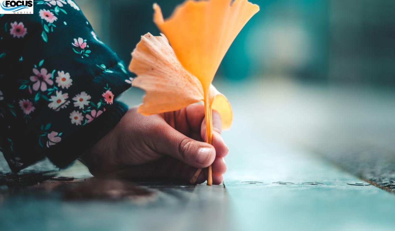 Thankful Tuesday Blessings to Keep You Grounded