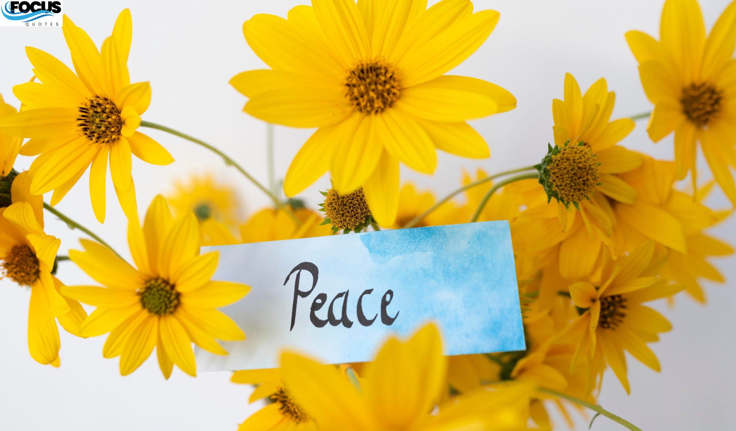 Saturday Blessings Images & Quotes