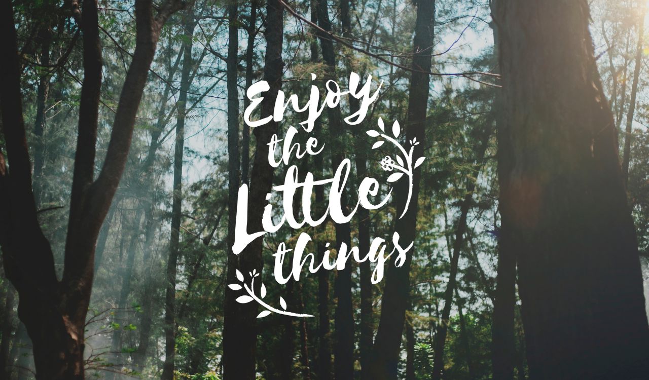 Bible Verses About Change