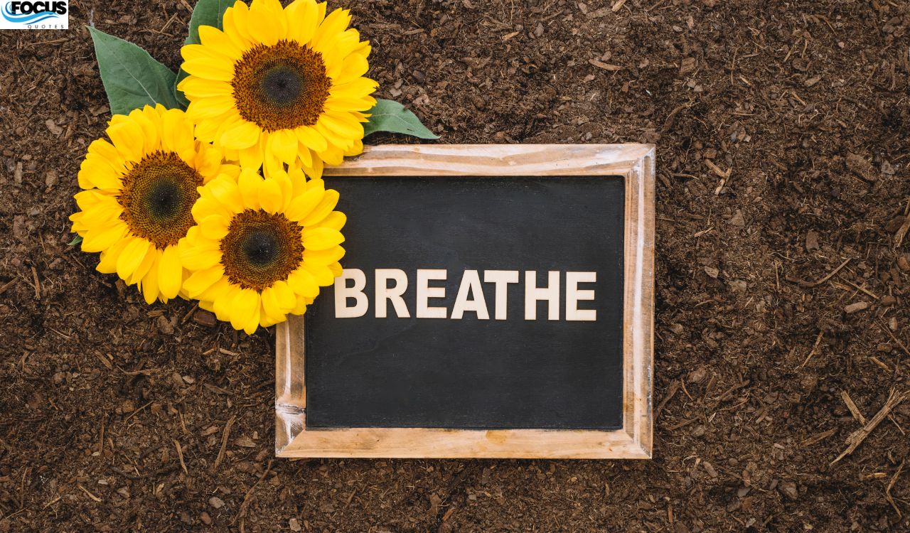 Good Afternoon Friday Blessings Images to Inspire You