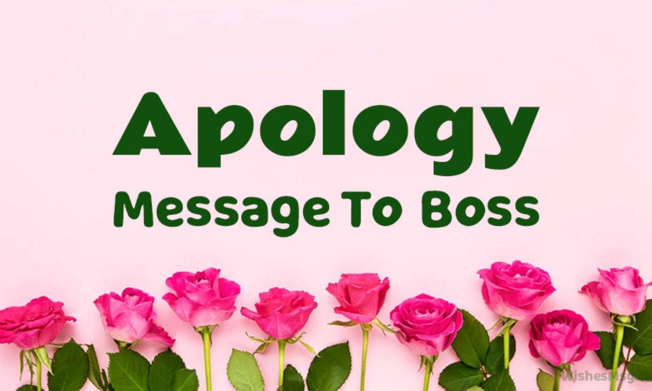 Apology Messages: Heartfelt Sorry Texts and Quotes 